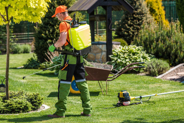 Best Bee and Wasp Removal  in Durand, MI